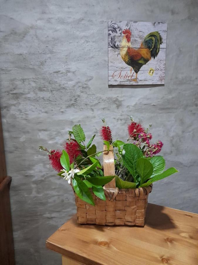 핀하오 Casa Dona Eufemia B&B 외부 사진